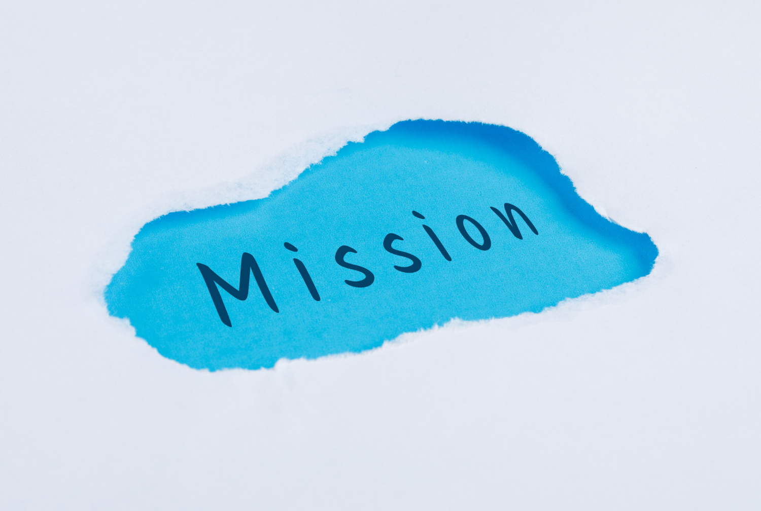 Our Vision